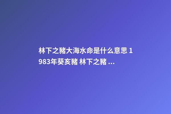 林下之豬大海水命是什么意思 1983年葵亥豬 林下之豬 什么意思-第1張-觀點-玄機派